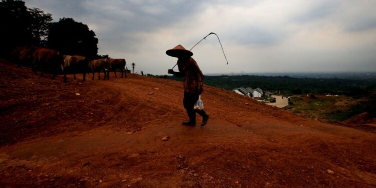 BTN Usulkan Skema KPR 35 Tahun dengan Skema Bunga Berjenjang