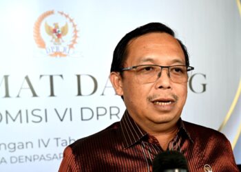 Proyek Strategis Nasional Bali Maritime Tourism Hub Ditinjau Ulang oleh Komisi VI DPR RI