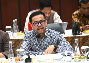 Stop Pemborosan Negara, Tutup BUMD yang Tak Beraktivitas Lagi