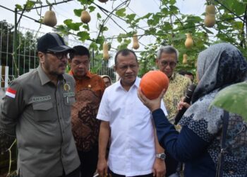 Komisi IV DPR RI dan Pusri Membahas Penyaluran Pupuk Bersubsidi untuk Petani yang Lebih Efektif