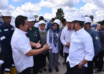 Endang Setyawati Thohari: Lahan Bekas Tambang Timah Sebaiknya Ditanami Pohon Industri