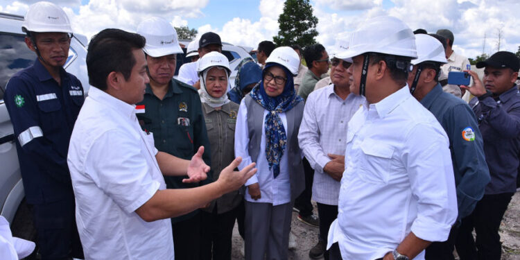 Endang Setyawati Thohari: Lahan Bekas Tambang Timah Sebaiknya Ditanami Pohon Industri