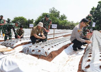 Tanam Bawang Usai Tanam Patok, Menteri AHY: Mari Berkontribusi terhadap Ketahanan Pangan