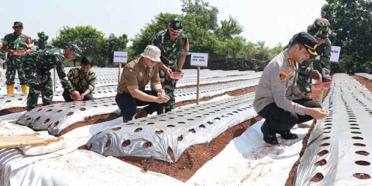 Tanam Bawang Usai Tanam Patok, Menteri AHY: Mari Berkontribusi terhadap Ketahanan Pangan
