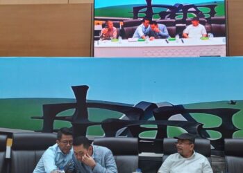 APBN 2025: Dari Transisi ke Aksi, Let’s Go!