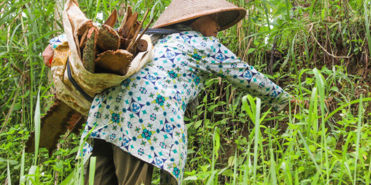 Pemerintah DKI Jakarta Luncurkan BLT Kartu Lansia Jakarta: Ini Syarat dan Cara Pencairannya