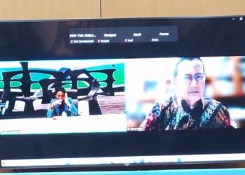 Urgensi RUU Energi Baru Terbarukan untuk Mempercepat Transisi Energi