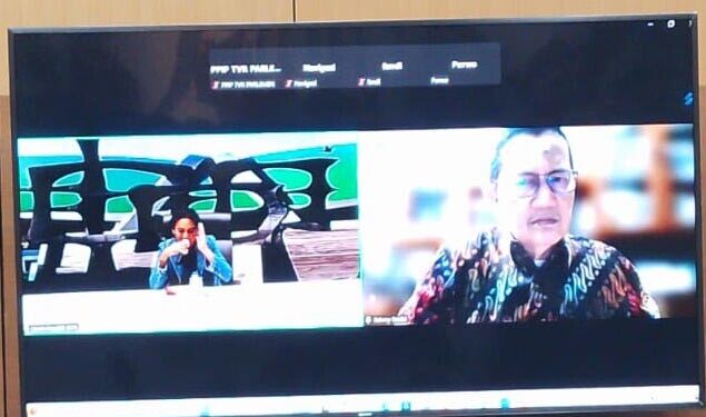 Urgensi RUU Energi Baru Terbarukan untuk Mempercepat Transisi Energi