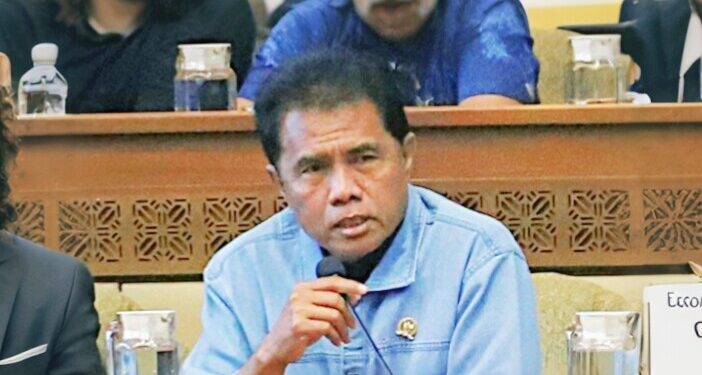 Anggota DPR Fraksi PDI-P Desak Penyelesaian Masalah Pertanahan di IKN