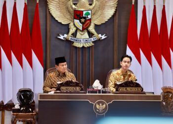 Presiden Prabowo Tugas Luar Negeri, Wakil Presiden Gibran Jadi Plt