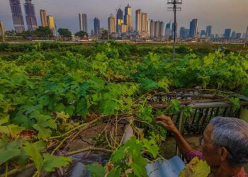 Angka Kredit Macet di Bank Rakyat Indonesia