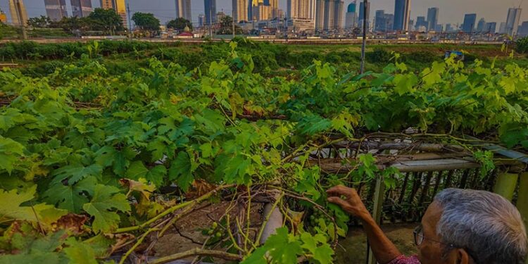 Angka Kredit Macet di Bank Rakyat Indonesia