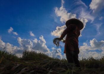 Prabowo Hapus Utang Petani & Nelayan, Gini Cara Prosesnya.