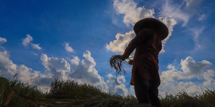 Prabowo Hapus Utang Petani & Nelayan, Gini Cara Prosesnya.