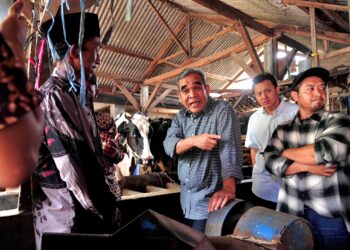 Ketua MPR Ahmad Muzani Dengarkan Keluhan Peternak Sapi Perah di Kota Batu: Harga Susu Rendah dan Pupuk Langka