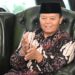 miras