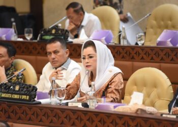 HPP PPN 12 Persen, Novita Wijayanti: Sikap PDI Perjuangan Tidak Gentlemen!