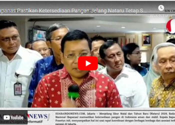 Bapanas Pastikan Ketersediaan Pangan Jelang Nataru Tetap Stabil