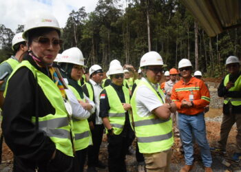 Indonesia Maksimalkan Potensi Nikel dengan Kebijakan Hilirisasi