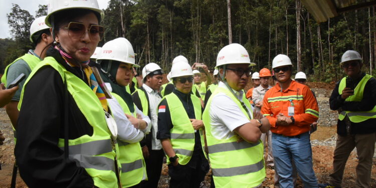 Indonesia Maksimalkan Potensi Nikel dengan Kebijakan Hilirisasi