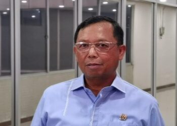 Hero: Kalangan Atas Wajib Kontribusi Lebih Lewat PPN Barang Mewah