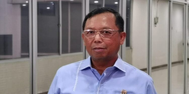 Hero: Kalangan Atas Wajib Kontribusi Lebih Lewat PPN Barang Mewah