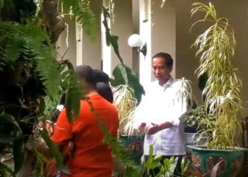 Destinasi Viral Baru di Solo, Rumah Presiden Joko Widodo ke-7 RI