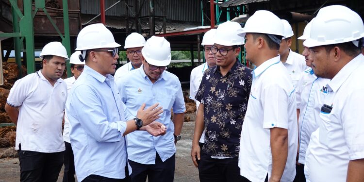 Target Pasarkan 120.000 MT CPO Bersertifikasi Internasional, PTPN IV PalmCo Proyeksi Raup Tambahan USD3,6 Juta Premium Price