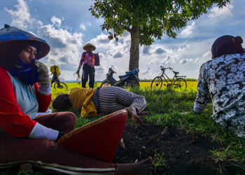Prabowo Mulai Hapus Utang 67.000 UMKM Pekan Depan