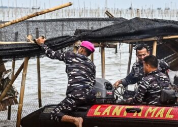 TNI AL Kerahkan Pasukan Khusus Bongkar Pagar Laut Misterius di Tangerang