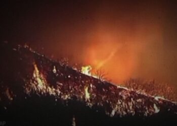 Heboh! Pria Nyamar Jadi Pemadam Kebakaran di Kebakaran Los Angeles, Ternyata Penjarah Rumah