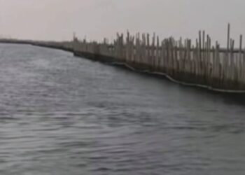 Viral Pagar Laut di Bekasi di Temukan