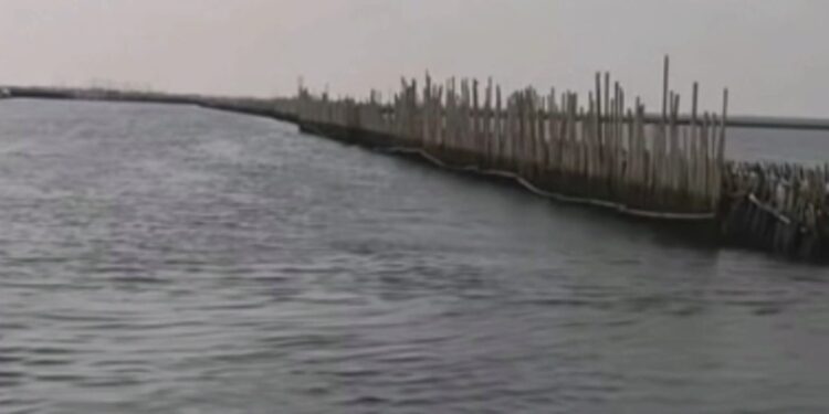 Viral Pagar Laut di Bekasi di Temukan