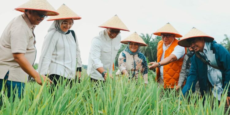 Kemenko Pangan Proyeksi Padi di Areal PSR PTPN Siak Hasilkan 50 Ton Gabah Sekali Panen