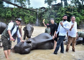 Menhut Kunjungi Tangkahan Sumut, Transformasi Pelestarian Alam Dari Menebang Kini Menanam