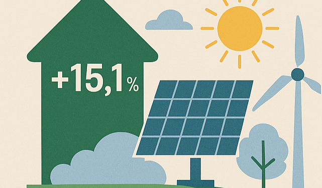 Rekor Baru Energi Terbarukan 2024: Tumbuh Pesat, Tapi Masih Kurang untuk Target 2030