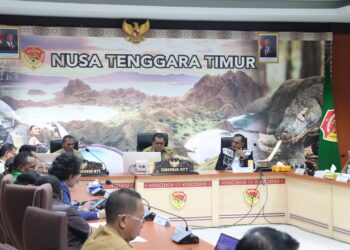 DPD RI Sidak ke Kupang! Bahas Nasib Perkebunan di NTT, Gubernur & Senator Bongkar Fakta Mengejutkan