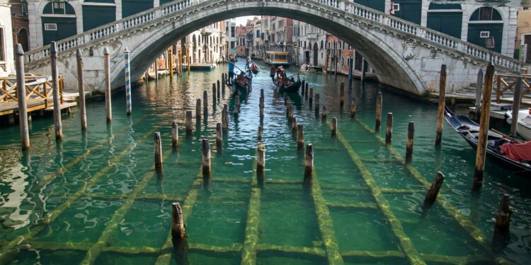 Lumpur, Kayu, dan Keajaiban Teknik yang Membuat Kota Venesia Bertahan Selama 1.600 Tahun