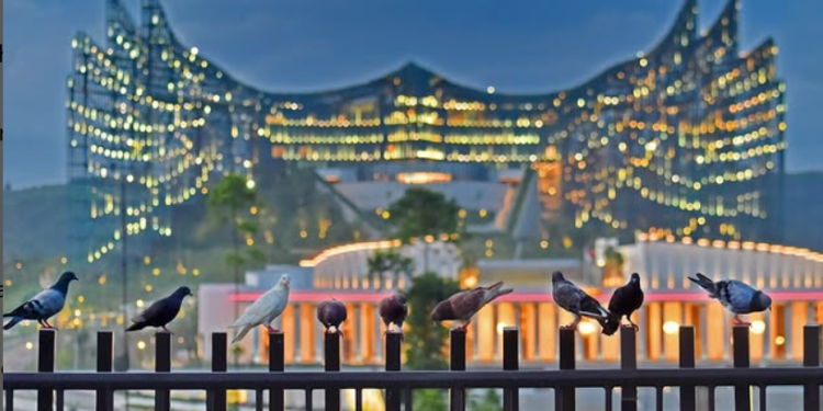 Dikira Hutan, Ternyata Magnet Wisata! IKN Sukses Gaet 45.496 Turis