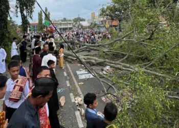 Tragis! Dua Orang Meninggal Akibat Pohon Tumbang Saat Shalat Id di Pemalang