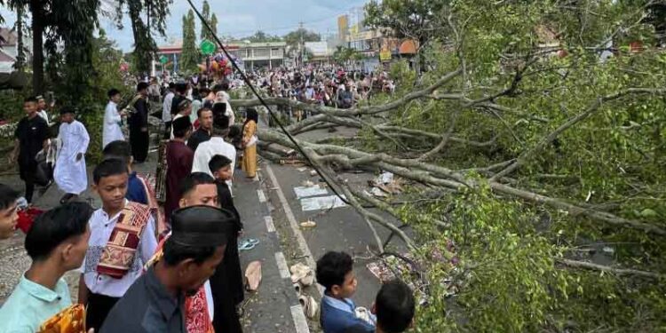 Tragis! Dua Orang Meninggal Akibat Pohon Tumbang Saat Shalat Id di Pemalang
