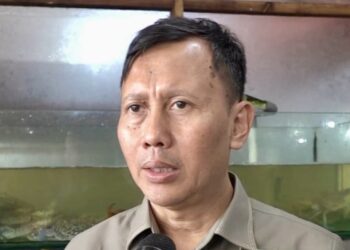 Drama Penyerapan Panen: Bulog Cuma Dapat 10%, Sisanya Dikuasai Swasta? Komisi IV Angkat Bicara