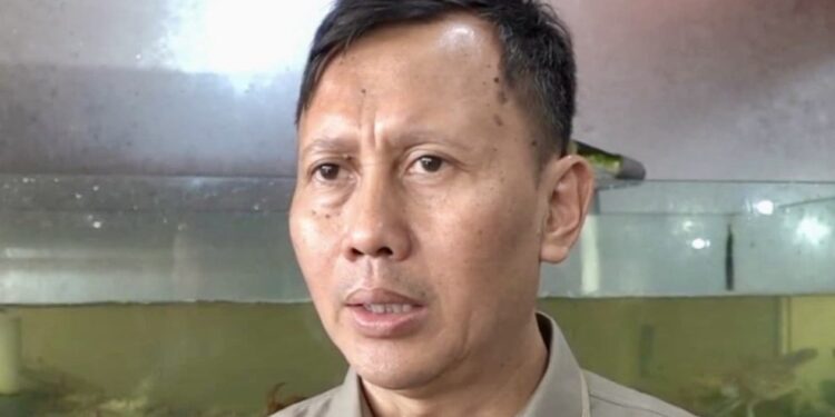 Drama Penyerapan Panen: Bulog Cuma Dapat 10%, Sisanya Dikuasai Swasta? Komisi IV Angkat Bicara