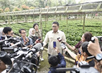 Petani Bukan Profesi Kuno! Ini 64 Balai Teknologi Keren yang Bisa Bikin Kamu Sultan dari Lahan