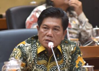 Bang Romy Murka: Rumah Sakit Tolak Pasien, Itu Harga Diri Pemerintah