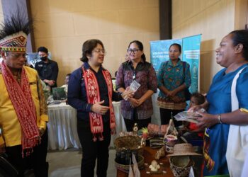 Hutan Luas, Tapi Izin Seret: DPD RI Tinjau Fakta Lapangan di Papua Barat Daya