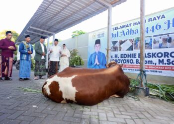 Edhie Baskoro Yudhoyono dan Istri Tunaikan Salat Idul Adha di Pacitan, Serahkan Hewan Kurban untuk Warga