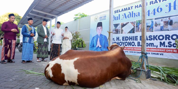 Edhie Baskoro Yudhoyono dan Istri Tunaikan Salat Idul Adha di Pacitan, Serahkan Hewan Kurban untuk Warga