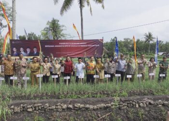 GKR Hemas Hadiri Panen Raya Bawang Merah, Soroti Ketahanan Pangan DIY