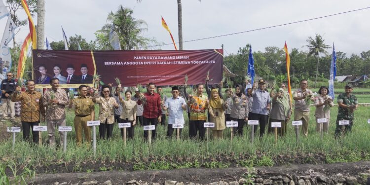GKR Hemas Hadiri Panen Raya Bawang Merah, Soroti Ketahanan Pangan DIY